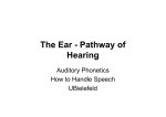 The Ear - Pathway of Hearing