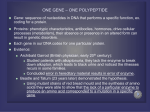 ONE GENE – ONE POLYPEPTIDE