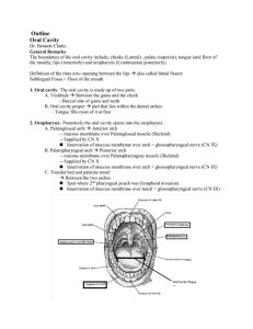 Oral Cavity