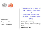 Presentation: Synergies - UNFCCC