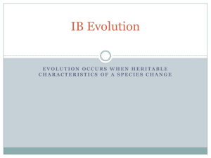 IB Evolution 2016
