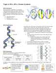 Topic 6 - DNA, RNA, Protein Synthesis