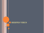 DNA Enveloped virus Herpes virus
