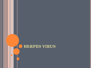 DNA Enveloped virus Herpes virus
