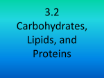 3.2 Carbohydrates, Lipids, and Proteins