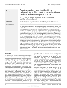et al - Journal of Medical Microbiology