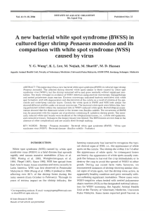 A new bacterial white spot syndrome (BWSS) in cultured tiger