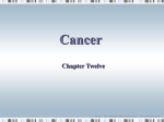 Chapter Twelve