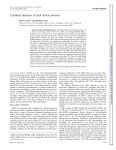 Cytokine function of heat shock proteins - AJP