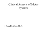 Clinical Aspects of Motor Systems