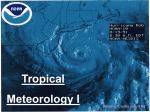 What is a tropical cyclone?