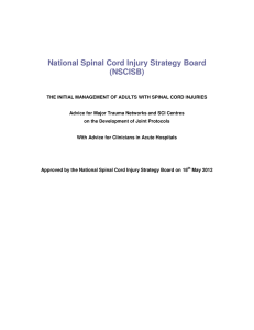 National Spinal Cord Injury Strategy Board (NSCISB)