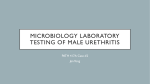 Microbiology Laboratory testing OF Male urethritis