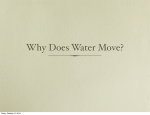 Why Does Water Move?