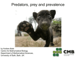 Predators, prey and prevalence