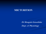 Physiology of Micturition for 1st year medical students