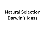 Natural Selection Darwin*s Ideas