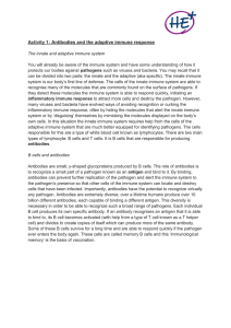 Activity 1: Antibodies and the adaptive immune response