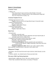 Region 11: Pectoral Region Cutaneous Vessels -