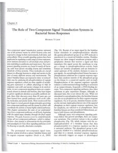 The Role of Two-Component Signal Transduction Systems in