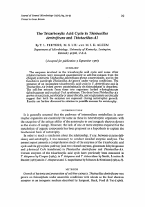 The Tricarboxylic Acid Cycle in Thiobacillus