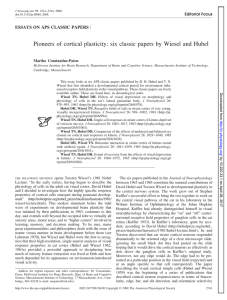 Pioneers of cortical plasticity: six classic papers by Wiesel and Hubel