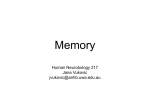 Long-term memory