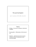 The Lacrimal System Terms