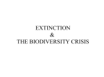Biodiversity Crisis