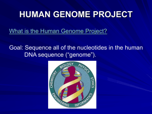 Human Genome Project and Sequencing