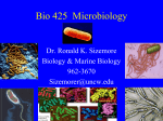 Bio 425 Microbiology - People Server at UNCW