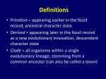 Primitive Chordates * Origin of Vertebrates