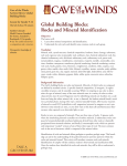 Global Building Blocks: Rocks and Mineral
