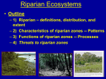 2) Characteristics of riparian zones