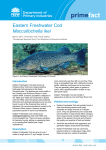 Eastern freshwater cod - NSW Department of Primary Industries