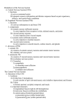 Breakdown of the Nervous System