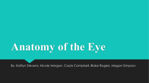 Anatomy of the Eye - ashland.k12.ky.us