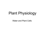Lec-4 Water and Plant Cells
