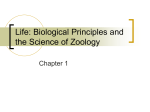 Life: Biological Principles and the Science of Zoology
