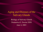 Aging and Diseases of the Salivary Glands