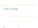 Index Tuning