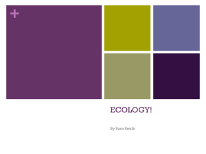 ecology! - Midland ISD