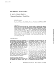 THE SMOOTH MUSCLE CELL II. Growth of Smooth Muscle in