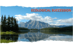 ECOLOGICAL SUCCESSION