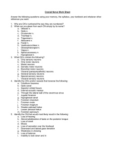 Cranial Nerve Work Sheet