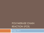 Polymerase Chain Reaction (PCR) - UMB Biology-Resources