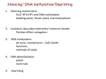 DNA Methylation, Imprinting and X