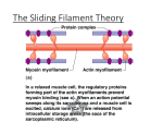 The Sliding Filament Theory