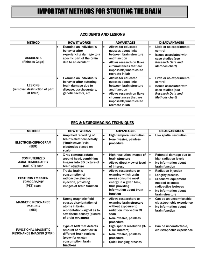 Brain Function Chart