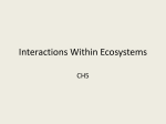 Interactions Within Ecosystems